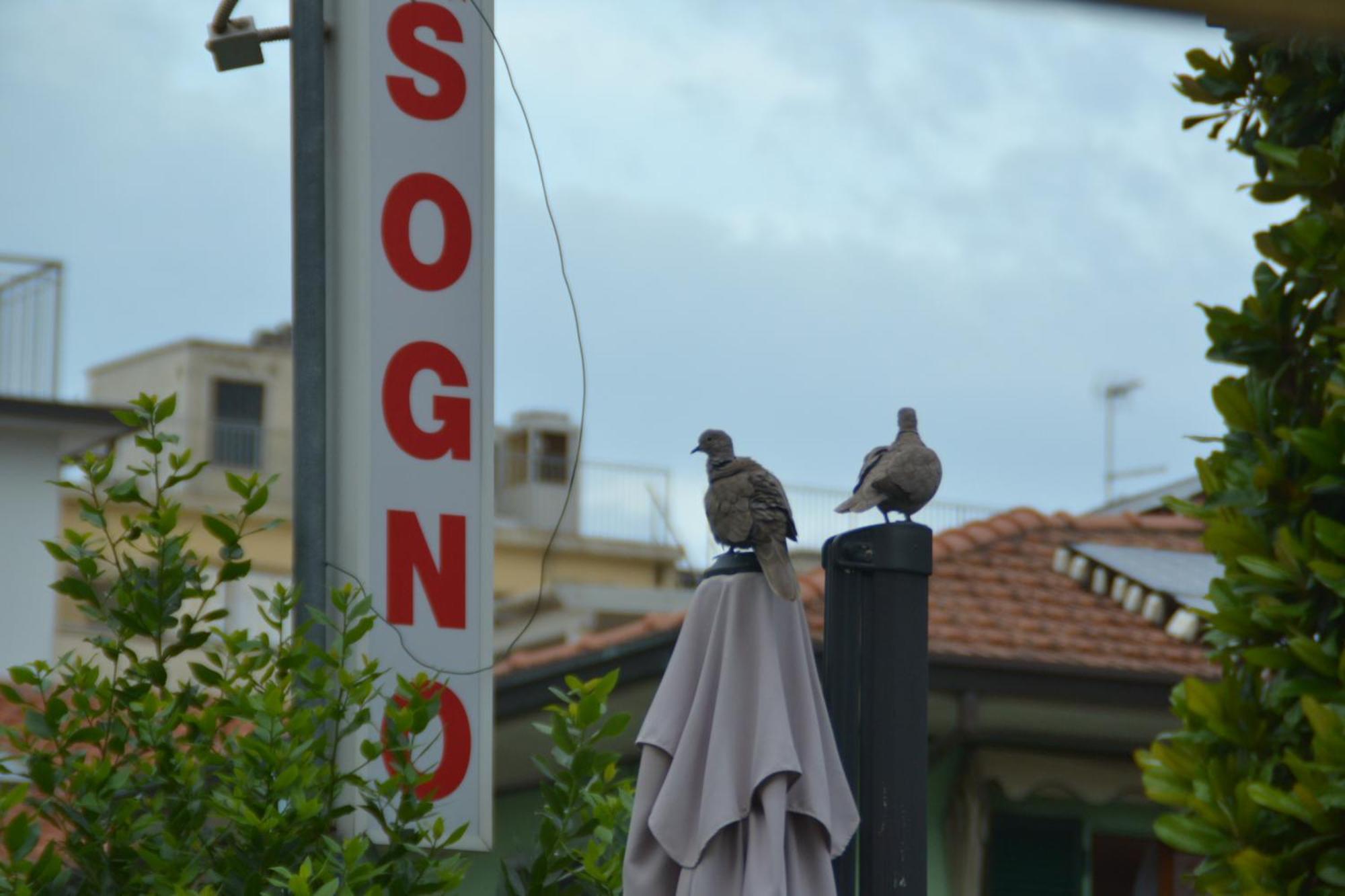 Hotel Bel Sogno Rimini Exterior photo